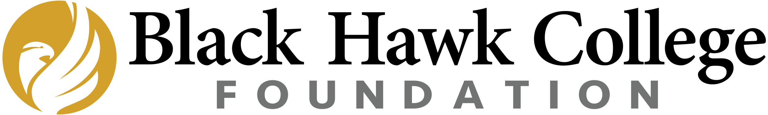 Black Hawk College Foundation